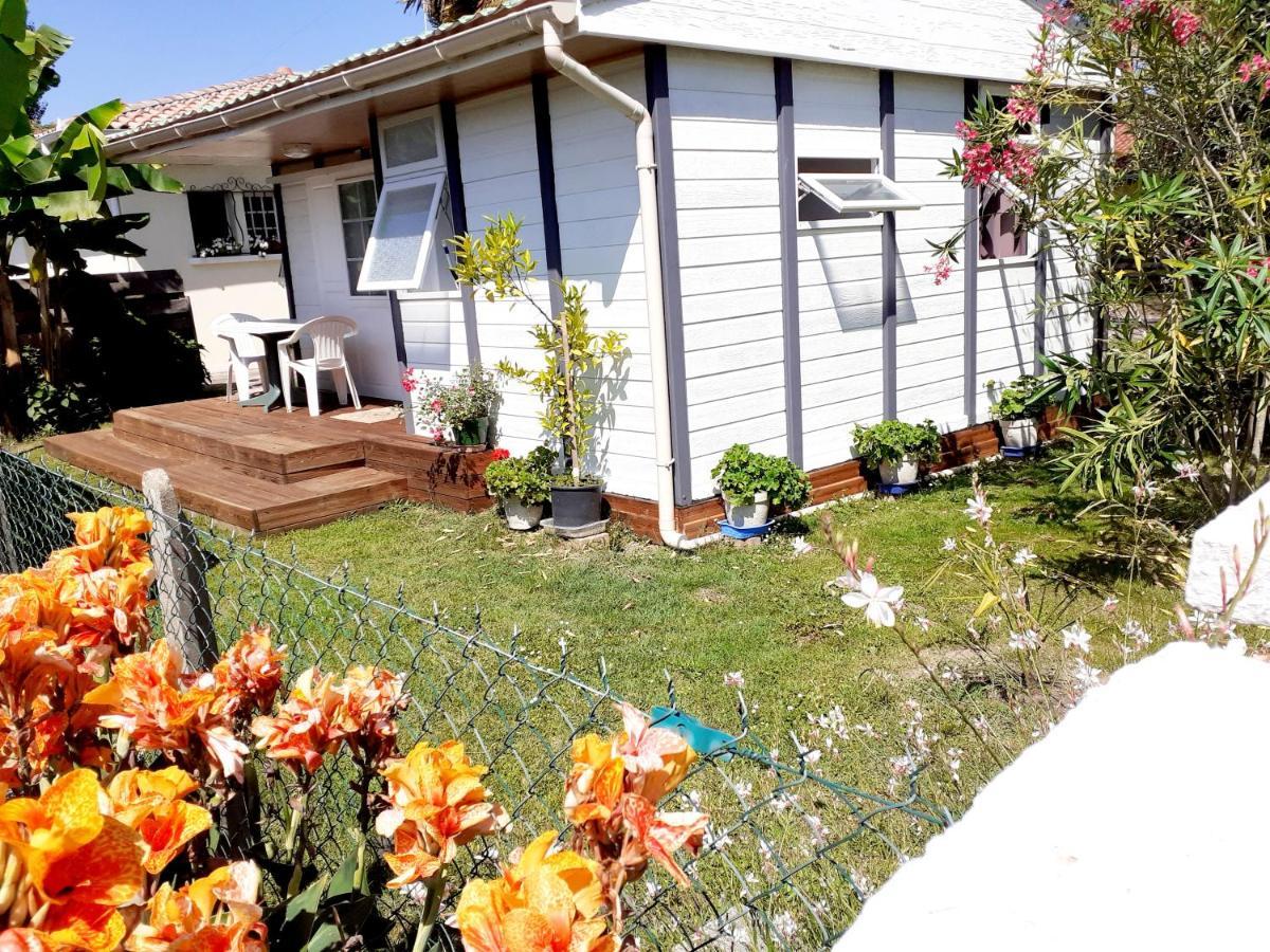 Villa Chalet à Narrosse Extérieur photo