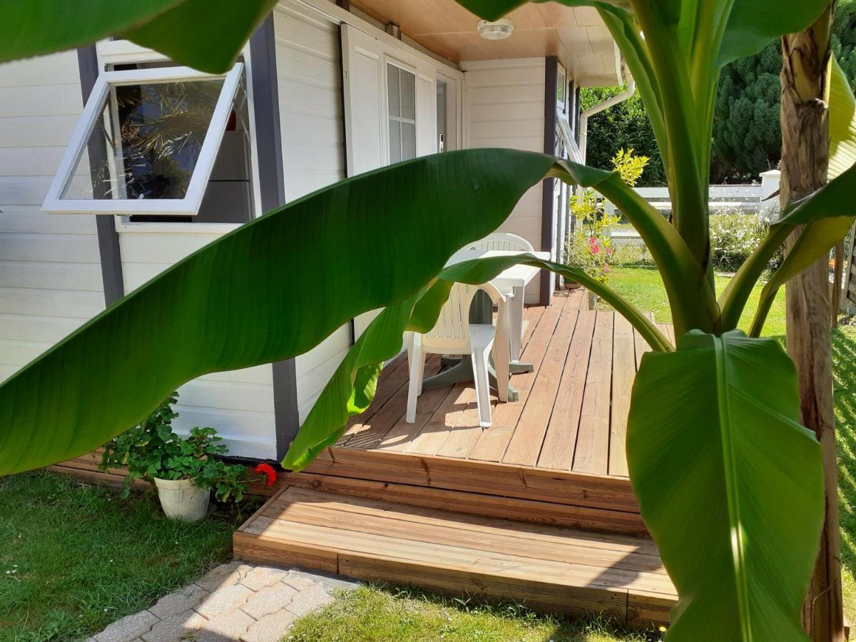 Villa Chalet à Narrosse Extérieur photo